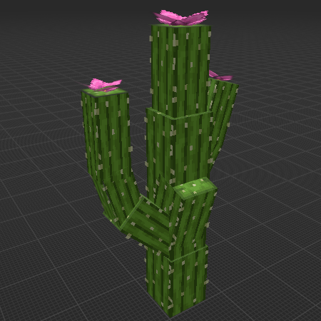 Cactus
