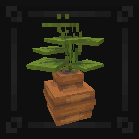 Vase With A Plant (Monstera)