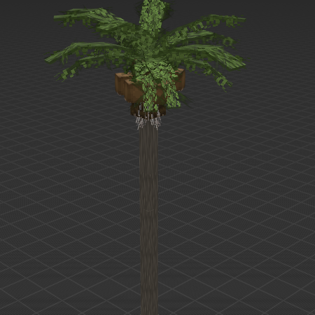 Palm Tree