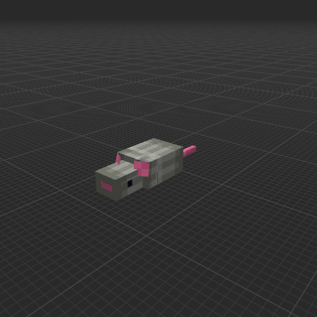 Gray pet rat sitting