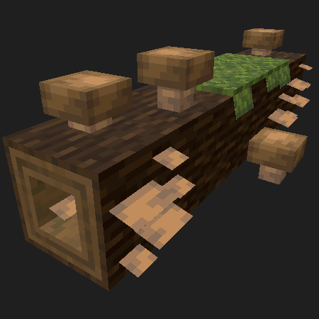 Hollow Spruce Log | Полое Еловое Бревно