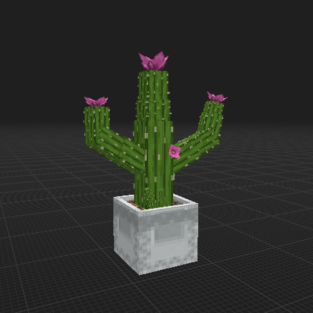 potted cactus